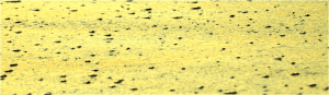 jpd-yellow-sand jpd-yellow-sand
