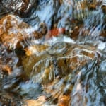 picture1