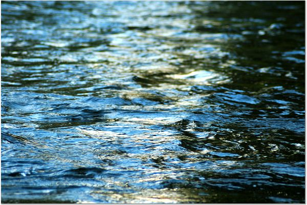water1